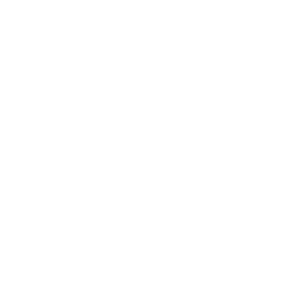 Bite