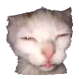 Flashed