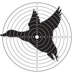 Moving Target
