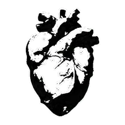 Dark Heart