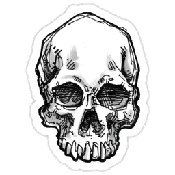 Skull Draw