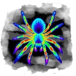 Aberration