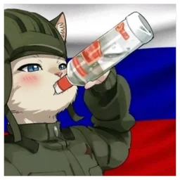 Vodkat